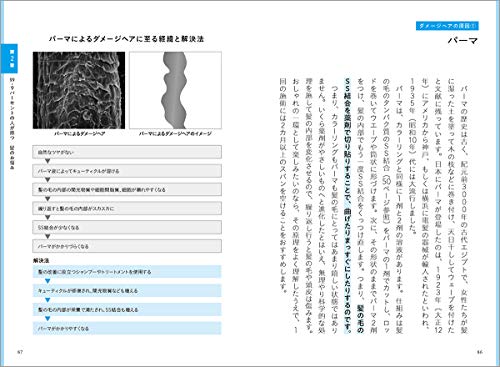 毛髪構造機構　大図鑑 Amazon.com: 社団法人 日本毛髪構造機構研究会: books, biography
